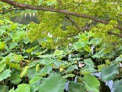 -韶山毛泽东同志故居
