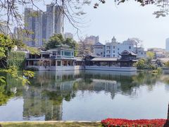 -荔湾湖公园