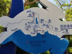 -广东惠东海龟国家级自然保护区