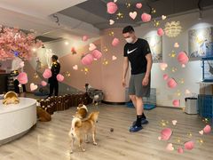 -浣熊柯尔鸭土拨鼠·电玩咖