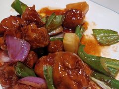 -鸽小宝(深圳首店)