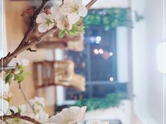 -七彩云南茶(七彩云南第壹城店)