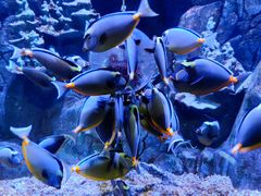 -成都浩海立方海洋公园