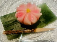 -觀芷隐轩