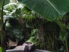 -汇雅温泉
