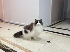 -它主义宠物(梁溪万达店)