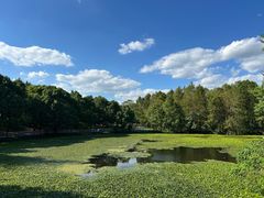 -上海海湾国家森林公园