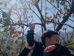 -楠溪江风景名胜区