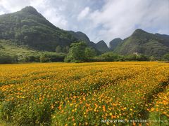 -靖西鹅泉风景区