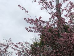 -杭州城北体育公园