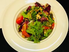 -百好乐宠物友好餐厅(朝外大街店)