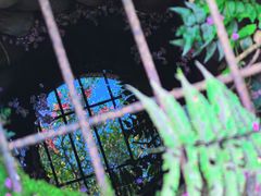 -峨眉山报国寺