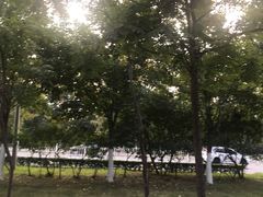 -世界地热博览园
