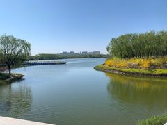 -大兴滨河森林公园