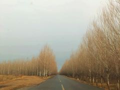 -蒲河岛湿地公园