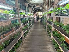 -Ohkajhu Organic Farm Sansai