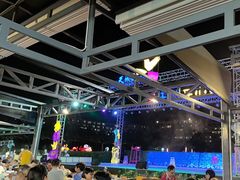 -渔家火锅·海鲜自助餐·演艺(亚龙湾天域酒店)