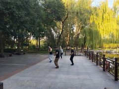 -玲珑塔公园