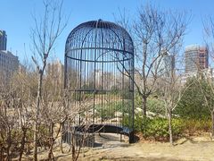 -莲花池公园