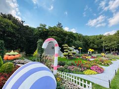 -上海共青森林公园