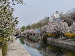 -海棠花溪(元大都城垣遗址公园)