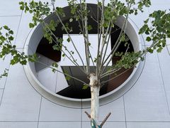-回龙观体育文化公园