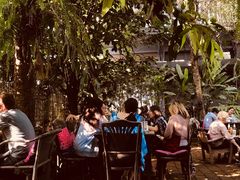 -Fern Forest Cafe