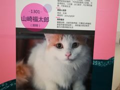 -北京清河万象汇