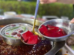 -枇杷园食为鲜火锅(南山店)