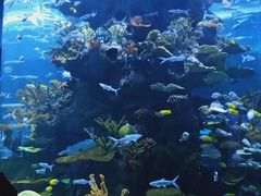 -多彩贵州城极地海洋世界