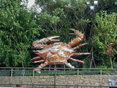 -宏源鑫海鲜餐厅·海景婚宴厅(石老人店)