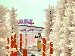 -盈香心动乐园