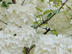 -大龙山(地铁站)