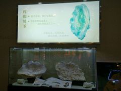 android_upload_pic-贝壳梦幻世界