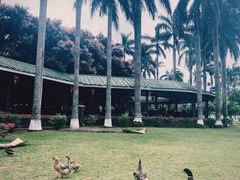 -侯臣咖啡文化村