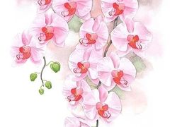 -八哥美术·成人美术画室(总校区)