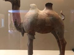 -敦煌市博物馆