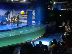 -重庆欢乐海底世界