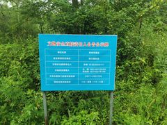 -青峰峡国家森林公园