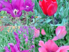 -国家植物园南园