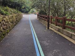 -杭州半山国家森林公园