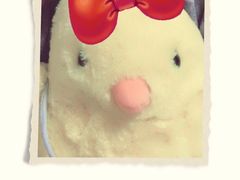 -PAWTOY爪e玩偶店(天兴罗斯福店)