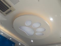 -芭比堂动物医院·CT·微创中心(新顺分院)