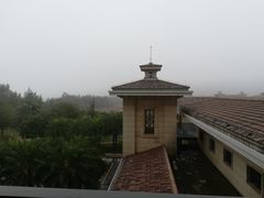 -海口绿发希尔顿酒店-田园汇自助餐·三文鱼·海鲜