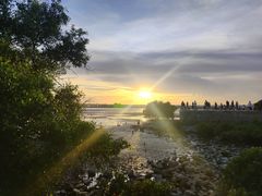 -宝安西湾红树林湿地公园