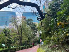 -九龙公园