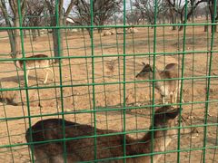 -西安秦岭野生动物园