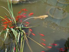 -聚缘堂·海鲜私房菜(松岭路店)