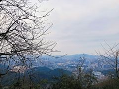 -岳麓山风景名胜区