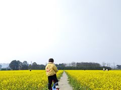 -蜀绣公园
